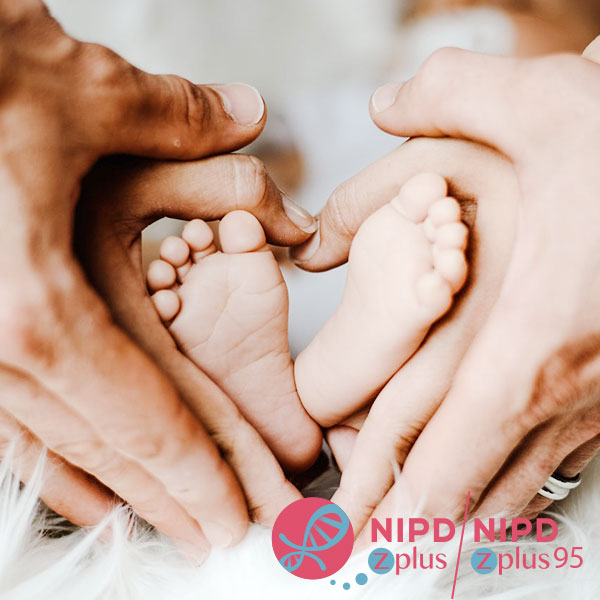 無創產前基因檢測NIPD Zplus95項